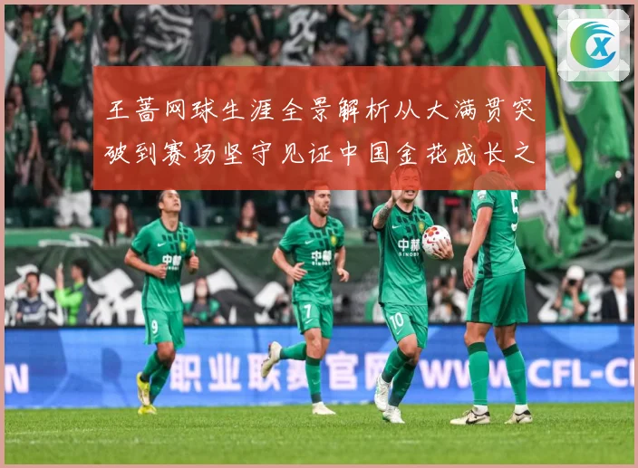 王蔷网球生涯全景解析从大满贯突破到赛场坚守见证中国金花成长之路-深度解析