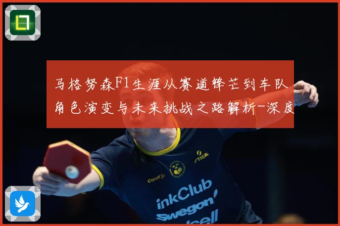 马格努森F1生涯从赛道锋芒到车队角色演变与未来挑战之路解析-深度解析