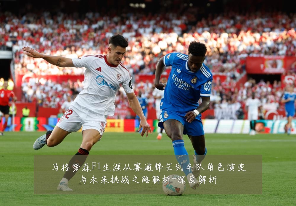 马格努森F1生涯从赛道锋芒到车队角色演变与未来挑战之路解析-深度解析