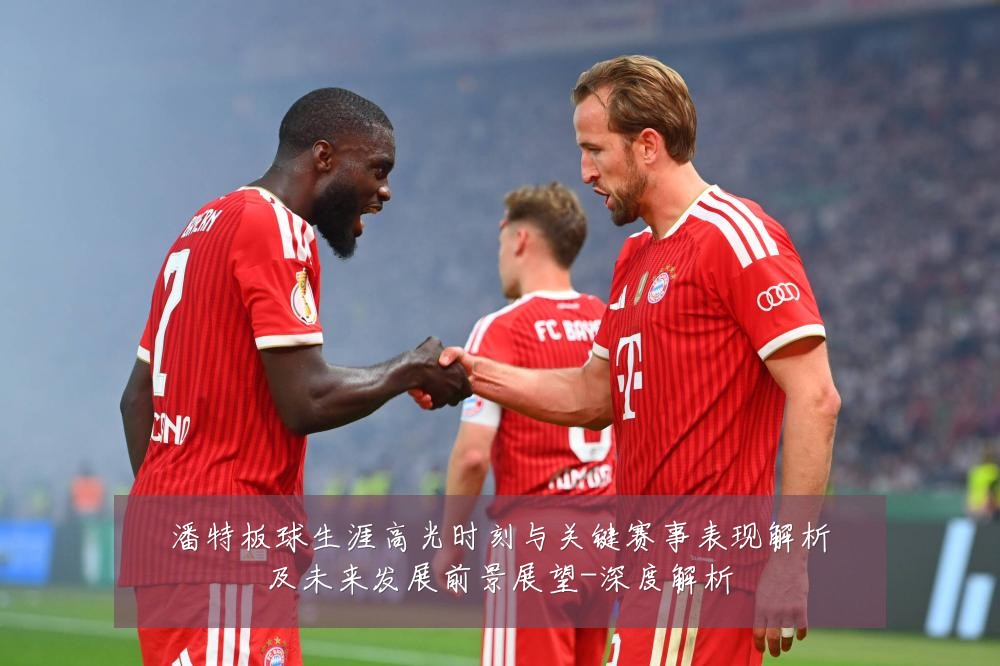 潘特板球生涯高光时刻与关键赛事表现解析及未来发展前景展望-深度解析